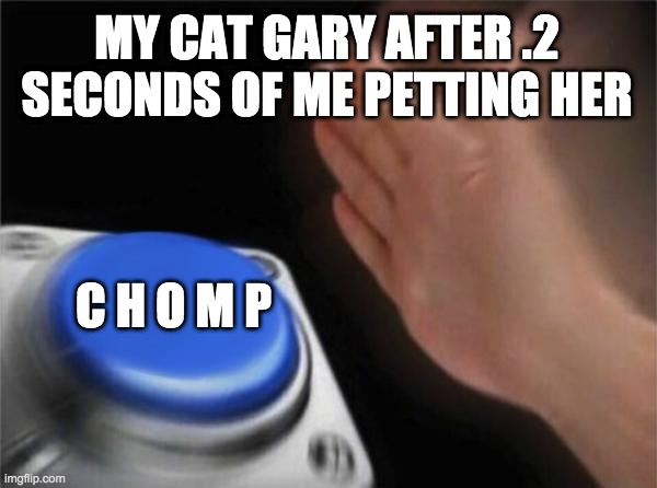 Blank Nut Button |  MY CAT GARY AFTER .2 SECONDS OF ME PETTING HER; C H O M P | image tagged in memes,blank nut button | made w/ Imgflip meme maker