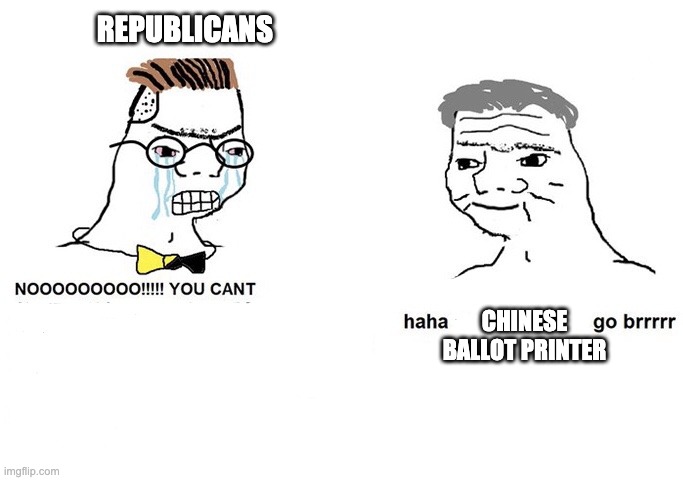 Haha [blank] go brrr | REPUBLICANS; CHINESE BALLOT PRINTER | image tagged in haha blank go brrr | made w/ Imgflip meme maker