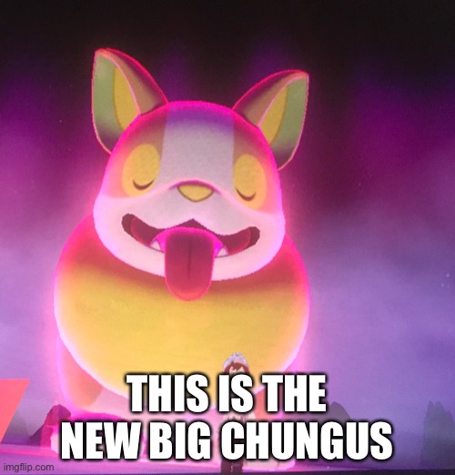 Yamper go brrr | THIS IS THE NEW BIG CHUNGUS | made w/ Imgflip meme maker