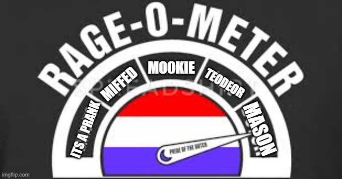 which are you | MOOKIE; MIFFED; TEODEOR; MASON; ITS A PRANK | made w/ Imgflip meme maker