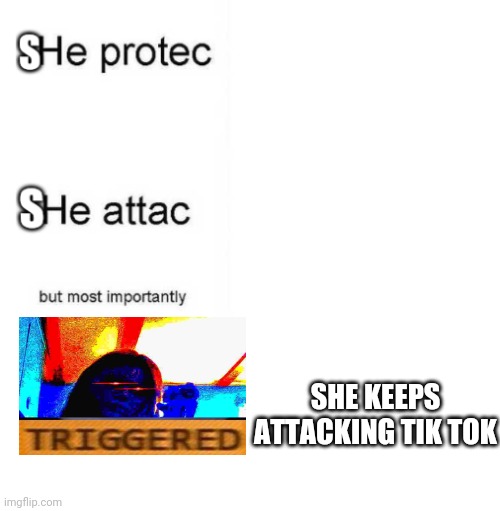 She protec she attac but most importantly | SHE KEEPS ATTACKING TIK TOK | image tagged in she protec she attac but most importantly | made w/ Imgflip meme maker