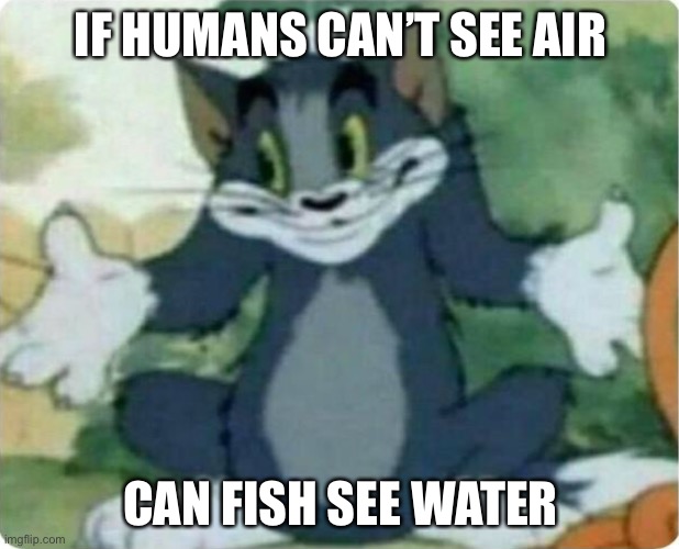 Tom Shrugging | IF HUMANS CAN’T SEE AIR; CAN FISH SEE WATER | image tagged in tom shrugging | made w/ Imgflip meme maker