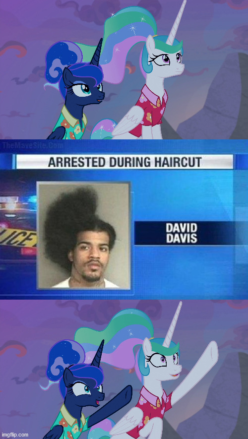 Poor dude, at least let him finish his appointment!!! P.S. This can be used as a custome template, I don't mind at all. | image tagged in mlp,funny meme,bad haircut | made w/ Imgflip meme maker