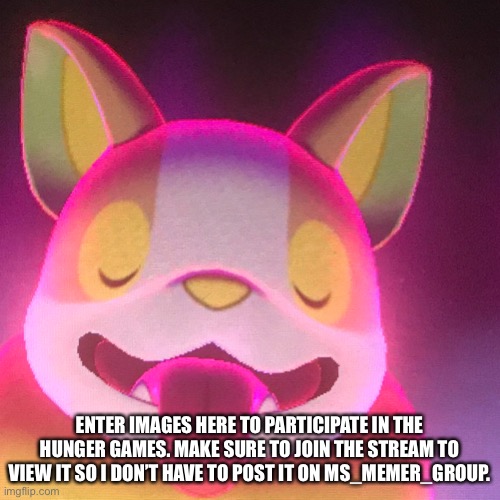 Yamper is big chungus confirmed | ENTER IMAGES HERE TO PARTICIPATE IN THE HUNGER GAMES. MAKE SURE TO JOIN THE STREAM TO VIEW IT SO I DON’T HAVE TO POST IT ON MS_MEMER_GROUP. | made w/ Imgflip meme maker