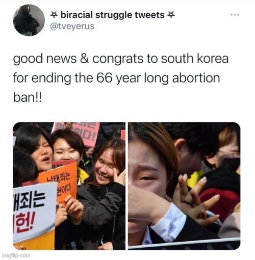 I had no idea abortion was still banned in SK. Good for them, and welcome to the modern world | image tagged in abortion,repost,feminism,south korea,pro choice,progress | made w/ Imgflip meme maker