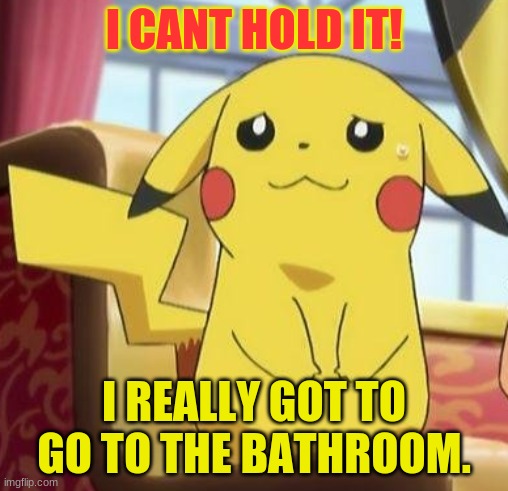 Are you ok pikachu? | I CANT HOLD IT! I REALLY GOT TO GO TO THE BATHROOM. | image tagged in pikachu's really | made w/ Imgflip meme maker