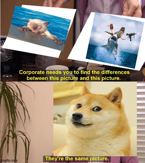 My eye sight is fine | image tagged in memes,they're the same picture | made w/ Imgflip meme maker