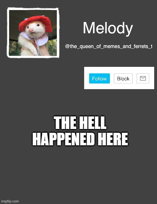 what going on XD | THE HELL HAPPENED HERE | image tagged in my new template | made w/ Imgflip meme maker