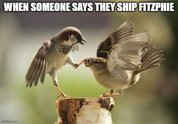 WHEN SOMEONE SAYS THEY SHIP FITZPHIE | image tagged in kotlc,keeper memes,keeper of the lost cities,fitzphie,sokeefe,foster keefe | made w/ Imgflip meme maker