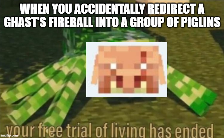 this actually happened in a live stream of Erickson Gaming | WHEN YOU ACCIDENTALLY REDIRECT A GHAST'S FIREBALL INTO A GROUP OF PIGLINS | image tagged in your free trial of living has ended | made w/ Imgflip meme maker