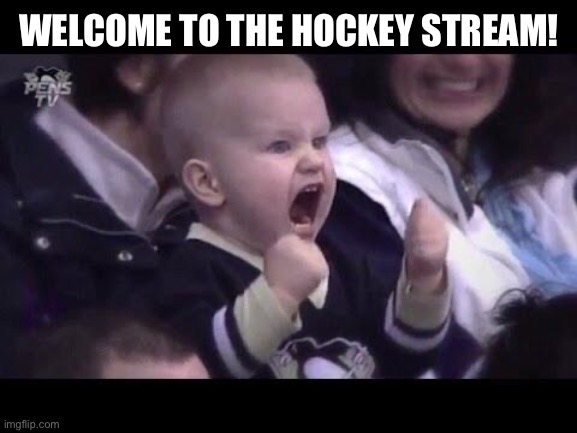Hi |  WELCOME TO THE HOCKEY STREAM! | image tagged in hockey baby | made w/ Imgflip meme maker