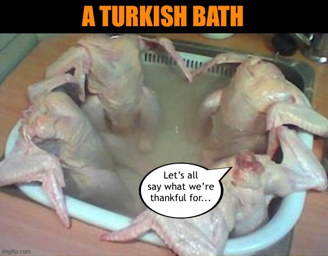 I’m thankful for the holiday movie classic, “Christmas Vacation.” | A TURKISH BATH; Let’s all say what we’re thankful for... | image tagged in funny memes,thanksgiving,turkeys | made w/ Imgflip meme maker