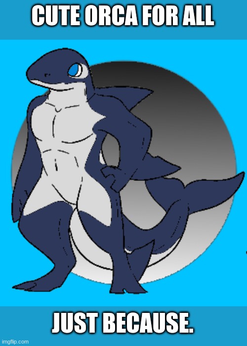 Orca Boi | CUTE ORCA FOR ALL; JUST BECAUSE. | image tagged in orca,furry,cute | made w/ Imgflip meme maker