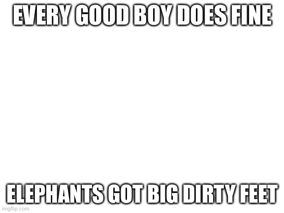 What do these have in common? | EVERY GOOD BOY DOES FINE; ELEPHANTS GOT BIG DIRTY FEET | image tagged in blank white template | made w/ Imgflip meme maker