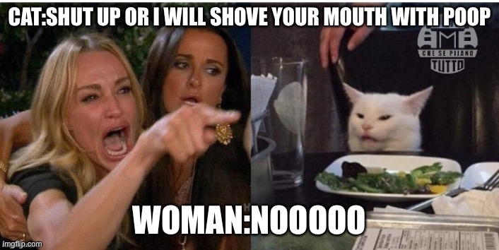 waaa | CAT:SHUT UP OR I WILL SHOVE YOUR MOUTH WITH POOP; WOMAN:NOOOOO | image tagged in white cat table | made w/ Imgflip meme maker