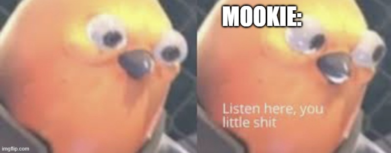 Listen here you little shit bird | MOOKIE: | image tagged in listen here you little shit bird | made w/ Imgflip meme maker