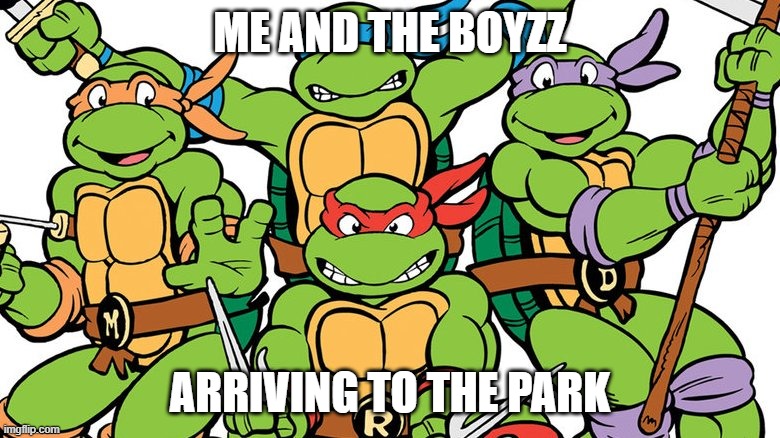 tmnt spicy!!! | ME AND THE BOYZZ; ARRIVING TO THE PARK | image tagged in teenage mutant ninja turtles | made w/ Imgflip meme maker