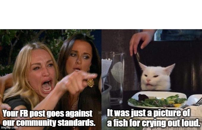 Woman Yelling At Cat | Your FB post goes against our community standards. It was just a picture of a fish for crying out loud. | image tagged in memes,woman yelling at cat | made w/ Imgflip meme maker