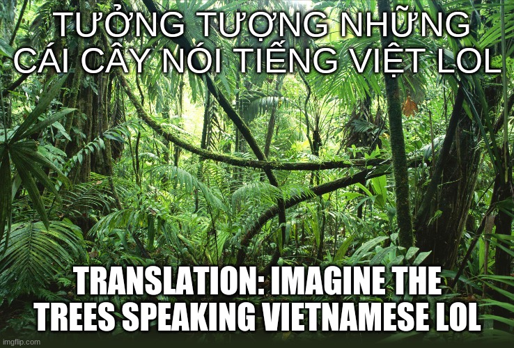 tham khảo chiến tranh việt nam (vietnam war reference) | TƯỞNG TƯỢNG NHỮNG CÁI CÂY NÓI TIẾNG VIỆT LOL; TRANSLATION: IMAGINE THE TREES SPEAKING VIETNAMESE LOL | image tagged in jungle | made w/ Imgflip meme maker