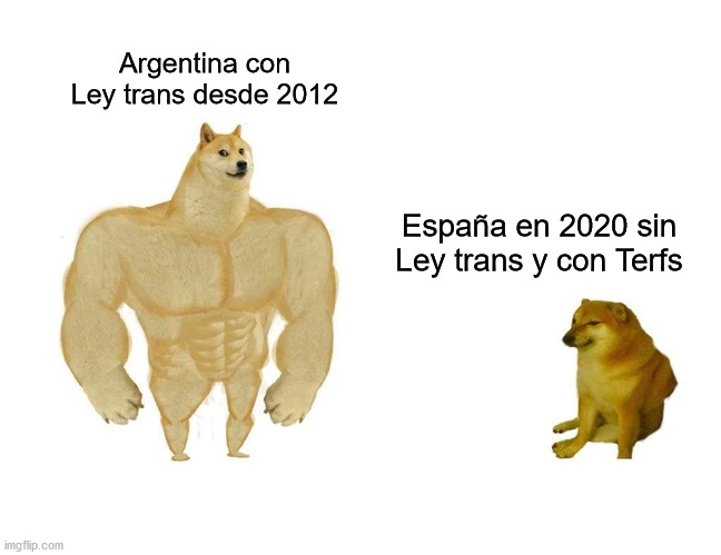 So cutre | Argentina con Ley trans desde 2012; España en 2020 sin Ley trans y con Terfs | image tagged in doggo and cheems,trans,gender | made w/ Imgflip meme maker