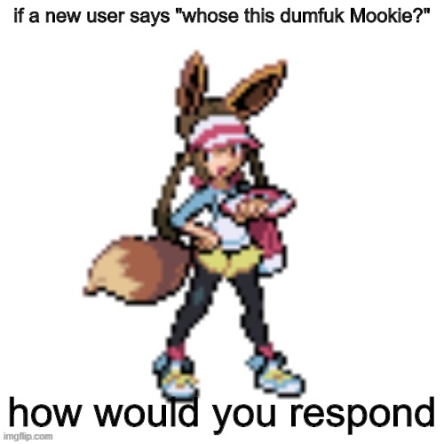 lmao | if a new user says "whose this dumfuk Mookie?"; how would you respond | image tagged in marie's eevee | made w/ Imgflip meme maker
