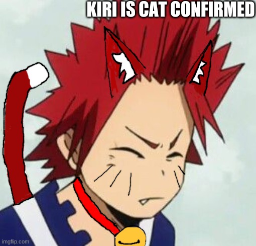 I had to hand draw the ears,tail,and collar :) | KIRI IS CAT CONFIRMED | image tagged in memes,mha,drawing | made w/ Imgflip meme maker