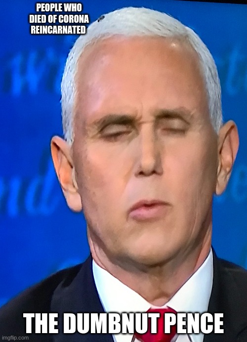 ooppp | PEOPLE WHO DIED OF CORONA REINCARNATED; THE DUMBNUT PENCE | image tagged in pence with a fly | made w/ Imgflip meme maker