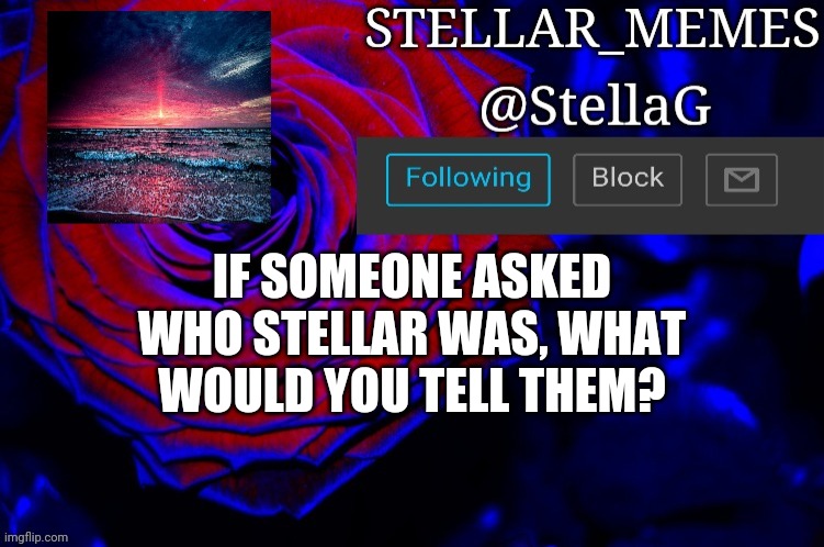 IF SOMEONE ASKED WHO STELLAR WAS, WHAT WOULD YOU TELL THEM? | made w/ Imgflip meme maker