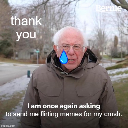 Bernie I Am Once Again Asking For Your Support Meme | thank you; to send me flirting memes for my crush. | image tagged in memes,bernie i am once again asking for your support | made w/ Imgflip meme maker
