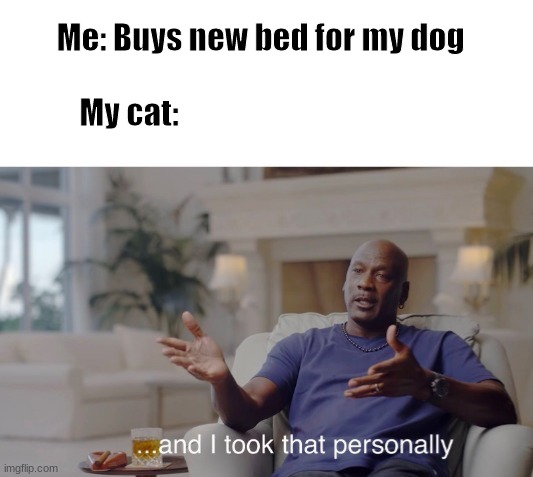 Relatable | My cat:; Me: Buys new bed for my dog | image tagged in and i took that personally | made w/ Imgflip meme maker