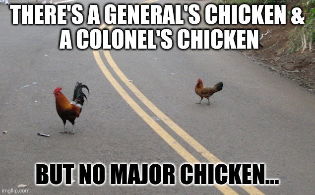 THERE'S A GENERAL'S CHICKEN &
 A COLONEL'S CHICKEN; BUT NO MAJOR CHICKEN... | image tagged in joke | made w/ Imgflip meme maker