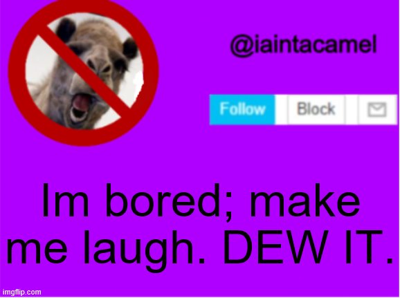 l a u g h | Im bored; make me laugh. DEW IT. | image tagged in iaintacamel | made w/ Imgflip meme maker
