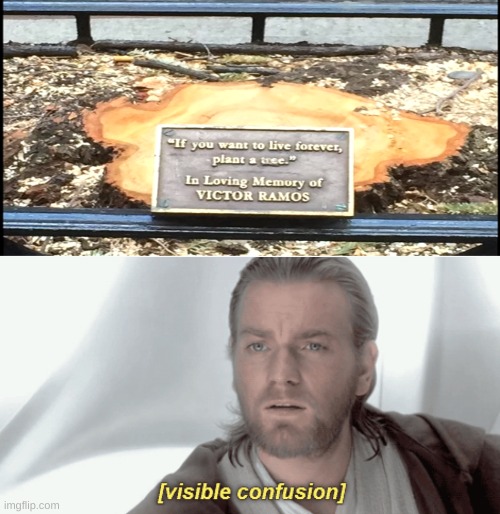 image tagged in obi-wan visible confusion | made w/ Imgflip meme maker