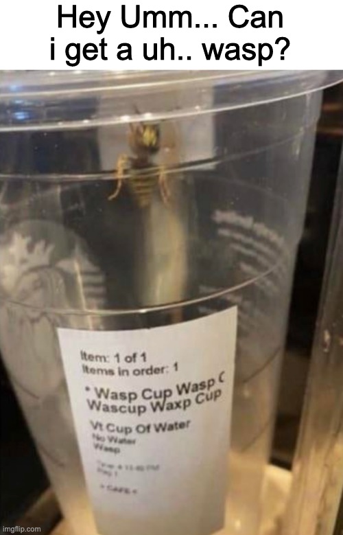 Wasp Cup | Hey Umm... Can i get a uh.. wasp? | made w/ Imgflip meme maker