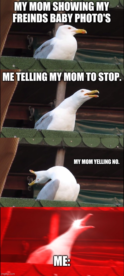 baby photo's | MY MOM SHOWING MY FREINDS BABY PHOTO'S; ME TELLING MY MOM TO STOP. MY MOM YELLING NO. ME: | image tagged in memes,inhaling seagull | made w/ Imgflip meme maker