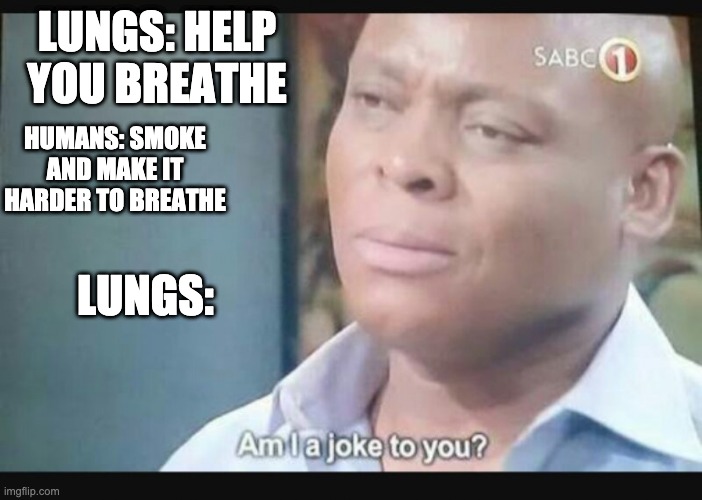 Am I a joke to you? | LUNGS: HELP YOU BREATHE; HUMANS: SMOKE AND MAKE IT HARDER TO BREATHE; LUNGS: | image tagged in am i a joke to you | made w/ Imgflip meme maker