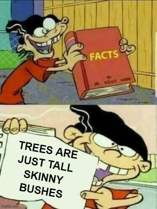 Trees are bushes | image tagged in trees are bushes,the book of truth | made w/ Imgflip meme maker