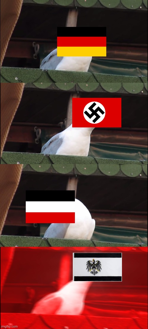 4 shades of germany | image tagged in memes,inhaling seagull | made w/ Imgflip meme maker