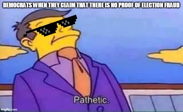 skinner pathetic | DEMOCRATS WHEN THEY CLAIM THAT THERE IS NO PROOF OF ELECTION FRAUD | image tagged in skinner pathetic | made w/ Imgflip meme maker