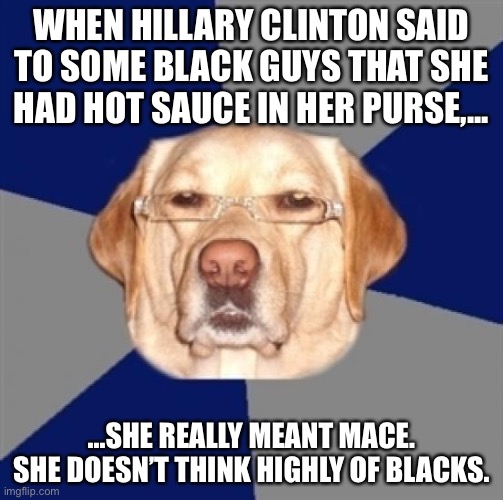 Mace in Hillary’s purse | WHEN HILLARY CLINTON SAID TO SOME BLACK GUYS THAT SHE HAD HOT SAUCE IN HER PURSE,... ...SHE REALLY MEANT MACE. SHE DOESN’T THINK HIGHLY OF BLACKS. | image tagged in racist dog,memes,hillary clinton,black,mace,bad joke | made w/ Imgflip meme maker