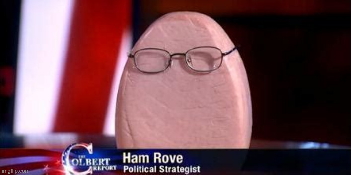 Karl Ham Rove | image tagged in donald trump | made w/ Imgflip meme maker