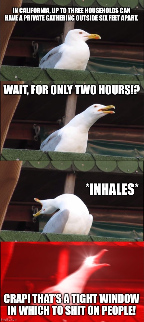 A shitty joke about a shitty California | IN CALIFORNIA, UP TO THREE HOUSEHOLDS CAN HAVE A PRIVATE GATHERING OUTSIDE SIX FEET APART. WAIT, FOR ONLY TWO HOURS!? *INHALES*; CRAP! THAT’S A TIGHT WINDOW IN WHICH TO SHIT ON PEOPLE! | image tagged in memes,inhaling seagull,california,bathroom humor,covid,insanity | made w/ Imgflip meme maker