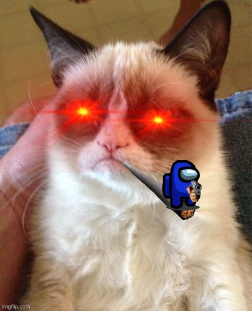 pissed cat | image tagged in memes,grumpy cat | made w/ Imgflip meme maker