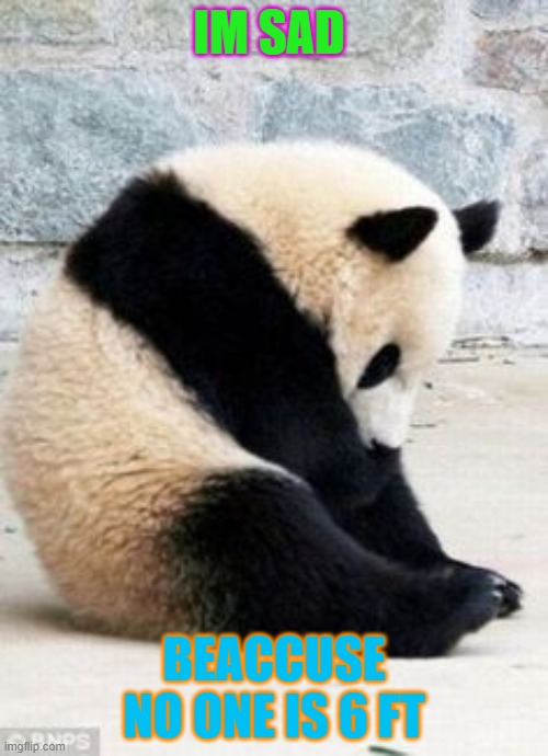 Sad Panda | IM SAD; BEACCUSE NO ONE IS 6 FT | image tagged in sad panda | made w/ Imgflip meme maker