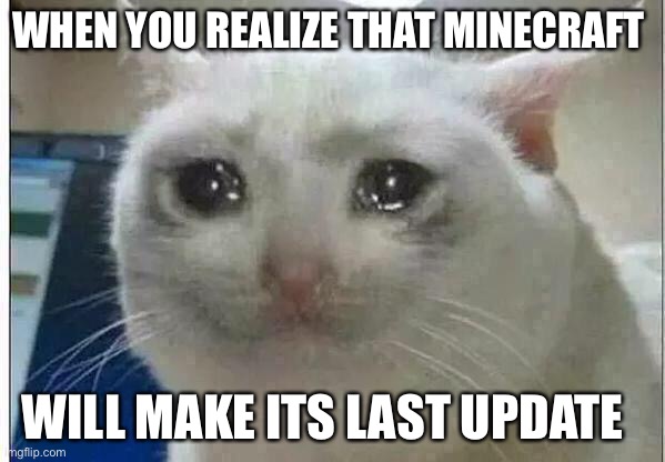 crying cat | WHEN YOU REALIZE THAT MINECRAFT; WILL MAKE ITS LAST UPDATE | image tagged in crying cat | made w/ Imgflip meme maker