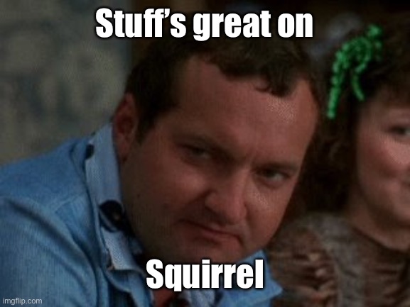 cousin eddie | Stuff’s great on Squirrel | image tagged in cousin eddie | made w/ Imgflip meme maker