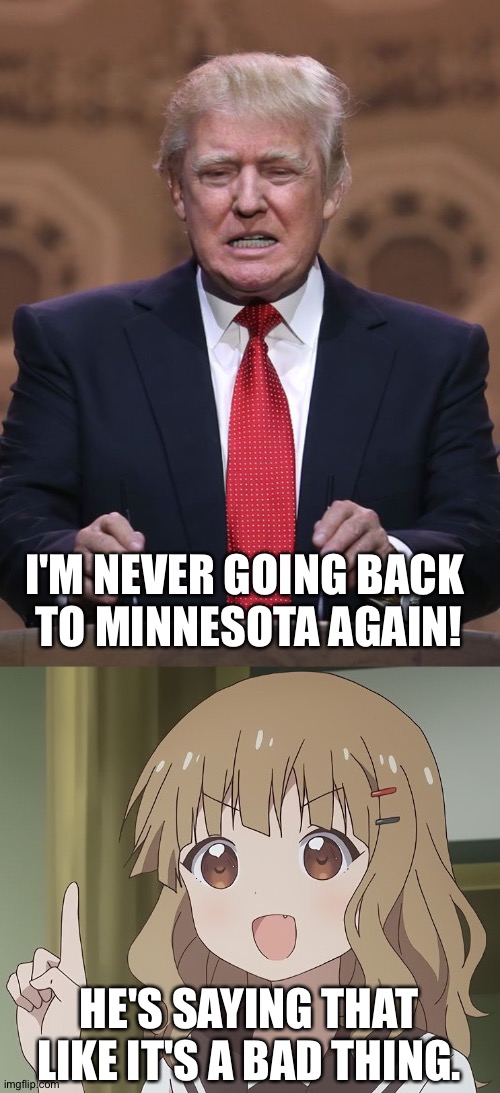 That's a BAD thing? | I'M NEVER GOING BACK 
TO MINNESOTA AGAIN! HE'S SAYING THAT LIKE IT'S A BAD THING. | image tagged in donald trump,the person above me | made w/ Imgflip meme maker