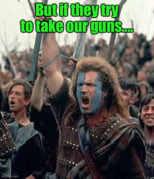 Braveheart | But if they try to take our guns.... | image tagged in braveheart | made w/ Imgflip meme maker