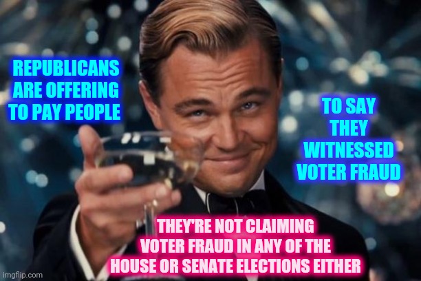 Loser | TO SAY THEY WITNESSED VOTER FRAUD; REPUBLICANS ARE OFFERING TO PAY PEOPLE; THEY'RE NOT CLAIMING VOTER FRAUD IN ANY OF THE HOUSE OR SENATE ELECTIONS EITHER | image tagged in memes,leonardo dicaprio cheers,trump unfit unqualified dangerous,liar in chief,lock him up,trump lies | made w/ Imgflip meme maker