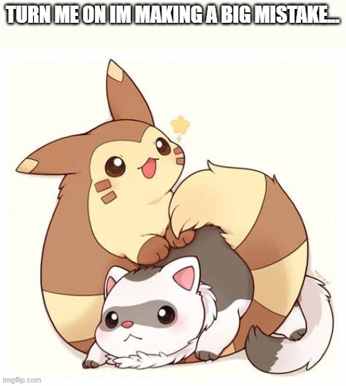 ...reeeeeeeeeeeeeeeee | TURN ME ON IM MAKING A BIG MISTAKE... | image tagged in pok mon ferret tehe | made w/ Imgflip meme maker